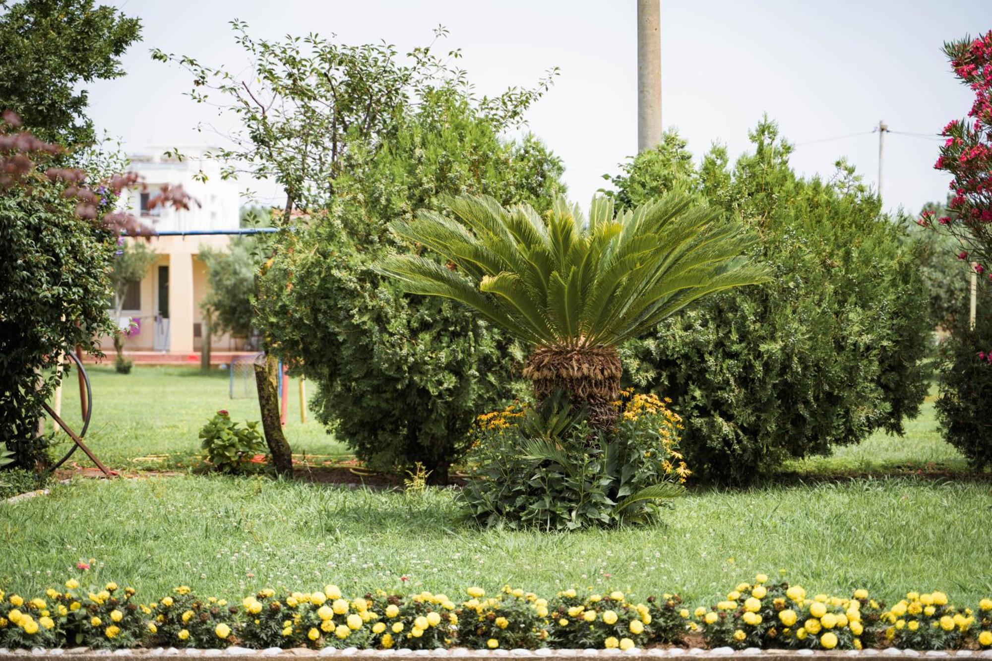 Apartments Rudaj Улцинь Экстерьер фото